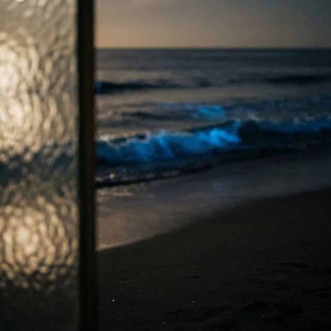 Bioluminescent plankton in surf at night, glowing blue waves breaking on dark sand