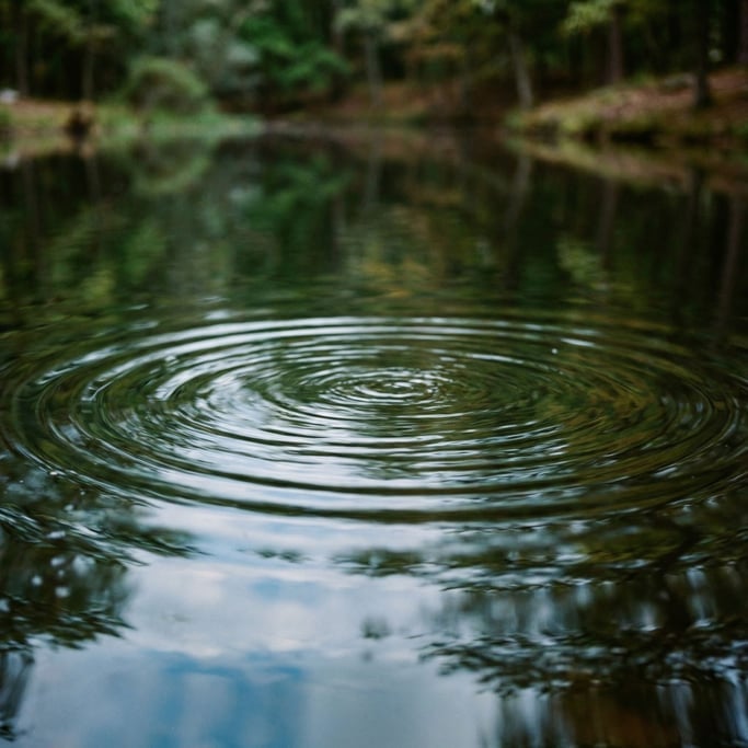 Ripples in a still pond distorting reflected sky and trees into abstract color fields (o5d7cank)