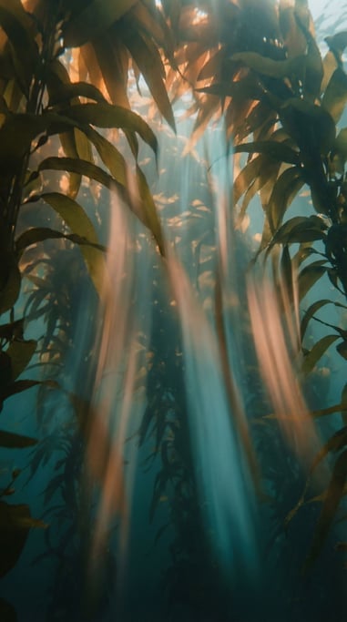 Kelp forest canopy from below, sunlight filtering through amber-green fronds, underwater cathedral