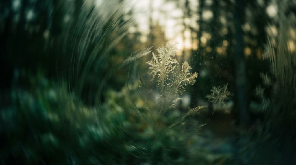 Ice crystals forming on a window pane, fractal patterns backlit by cold morning light (ihzphxrh)