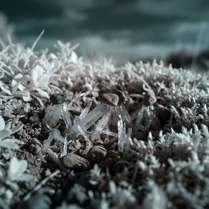 Frost heaving in soil, needle ice crystals pushing pebbles upward, micro-landscape (0smkex6r)