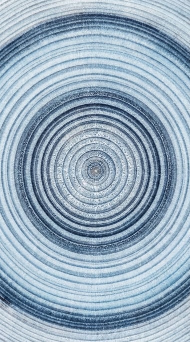 Tree rings in a cross-cut log, each ring a year, patterns of growth and drought visible