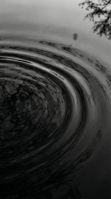 Ripples in a still pond distorting reflected sky and trees into abstract color fields (njxou5pd)