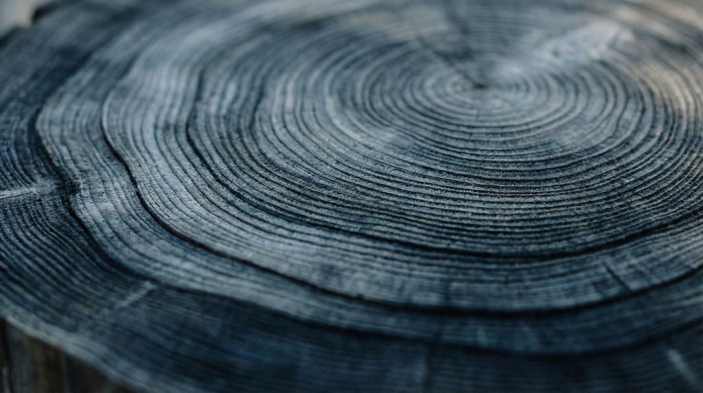 Tree rings in a cross-cut log, each ring a year, patterns of growth and drought visible (wgqqc09g)