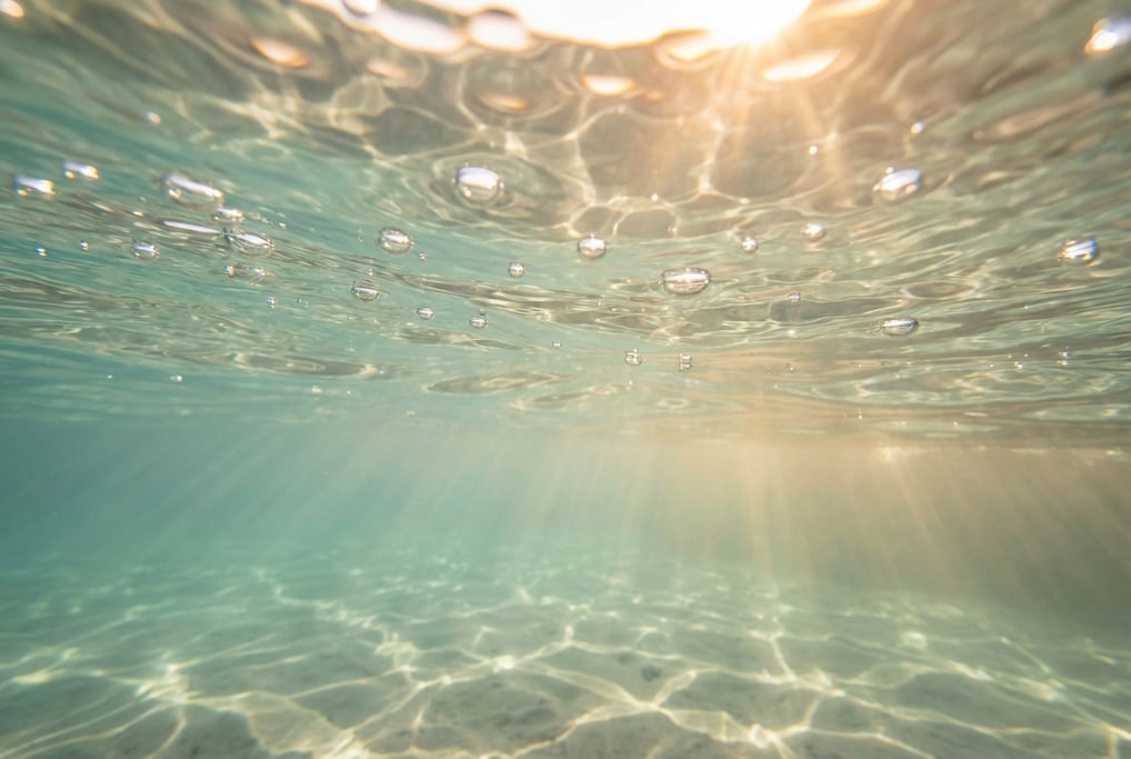 The surface of water seen from just below