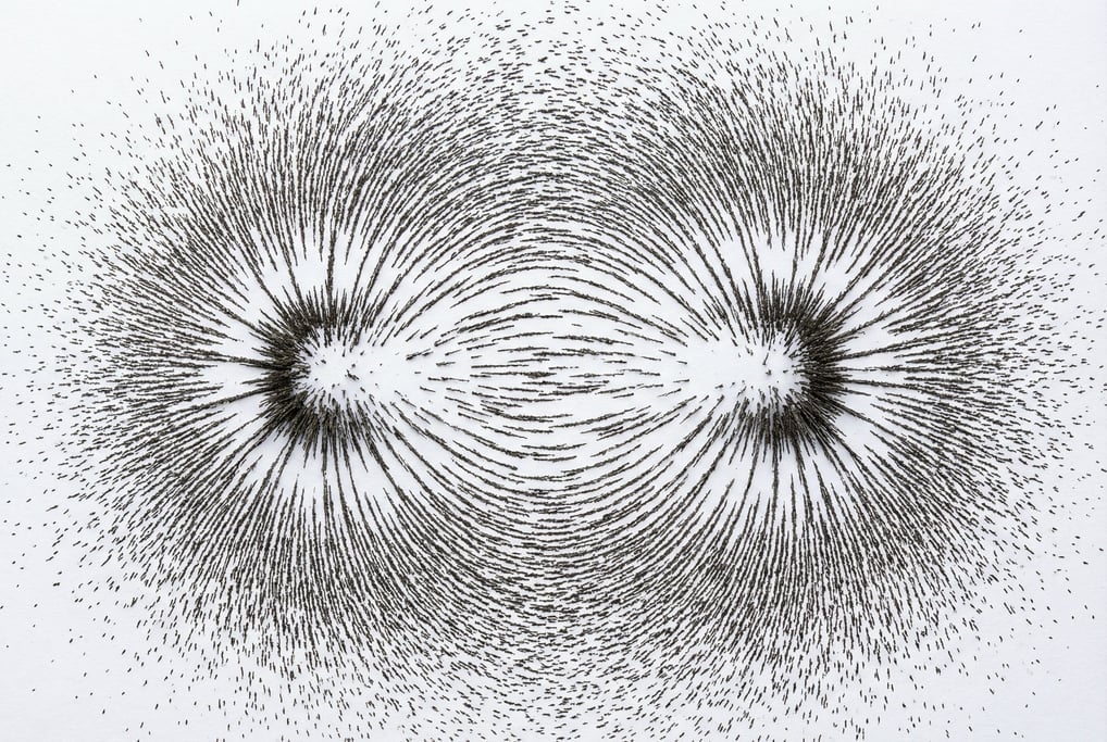 Magnetic field lines visualized with iron filings on white paper