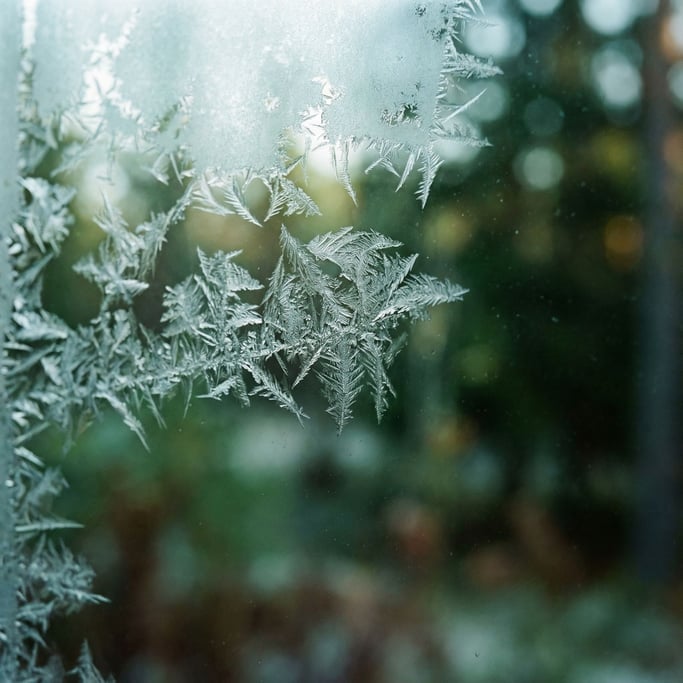 Ice crystals forming on a window pane, fractal patterns backlit by cold morning light (vusdjxn2)