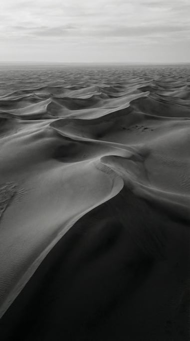 Sand dunes seen from above, abstract curves and soft shadows in cool morning light (mhlskmrx)