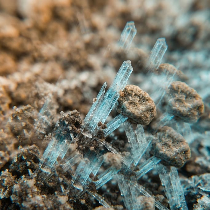 Frost heaving in soil, needle ice crystals pushing pebbles upward, micro-landscape (yvpvupuu)