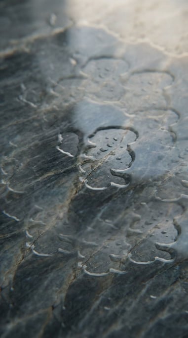 Wet marble surface with water pooling in natural veins and cracks, overhead view (wsmjebbv)