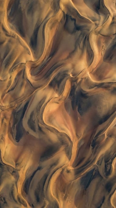 Sand dunes seen from above, abstract curves and soft shadows in cool morning light (wvhdir5z)
