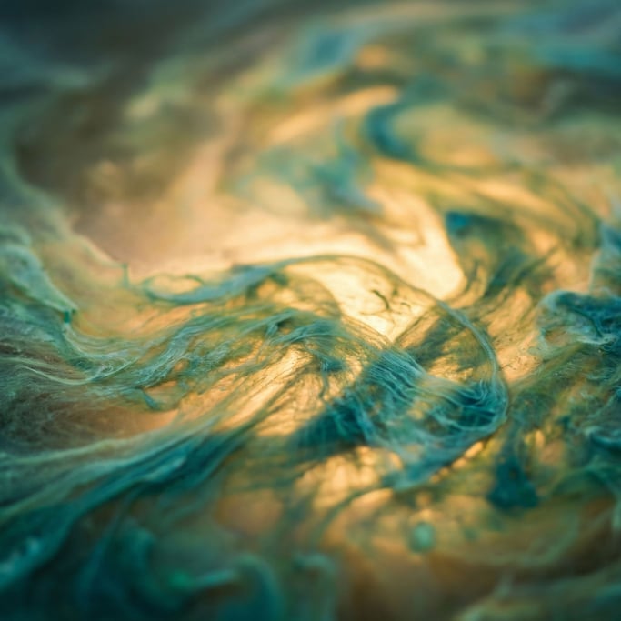 Algae bloom on a lake surface, abstract green and blue organic patterns from above (pkguccs2)