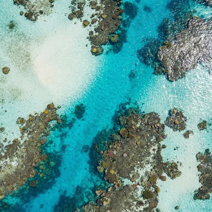 Overhead drone shot of a pristine coral reef in shallow tropical water