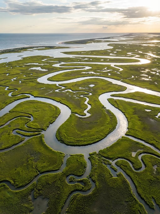 Aerial view of a coastal wetland with winding tidal creeks cutting through bright green salt marsh g