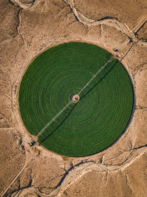 Overhead aerial of a center-pivot irrigation circle creating a perfect green disc of crops against b