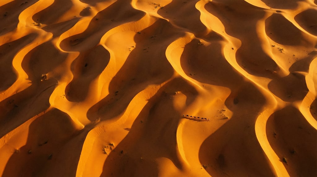 Aerial shot of Saharan sand dunes with dramatic raking shadows creating repeating golden crescent sh