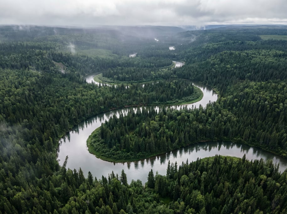 Aerial view of a winding silver river cutting through dense boreal evergreen forest