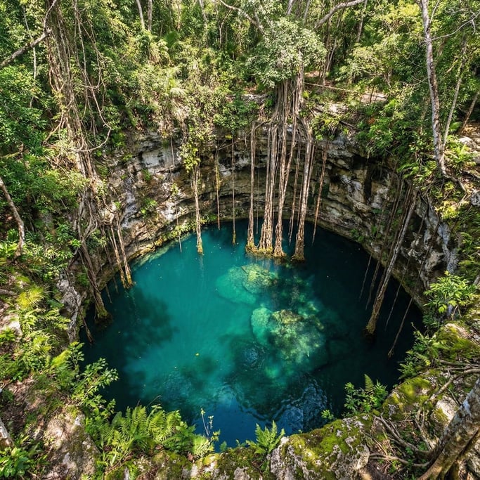 Top-down view of a circular cenote in limestone