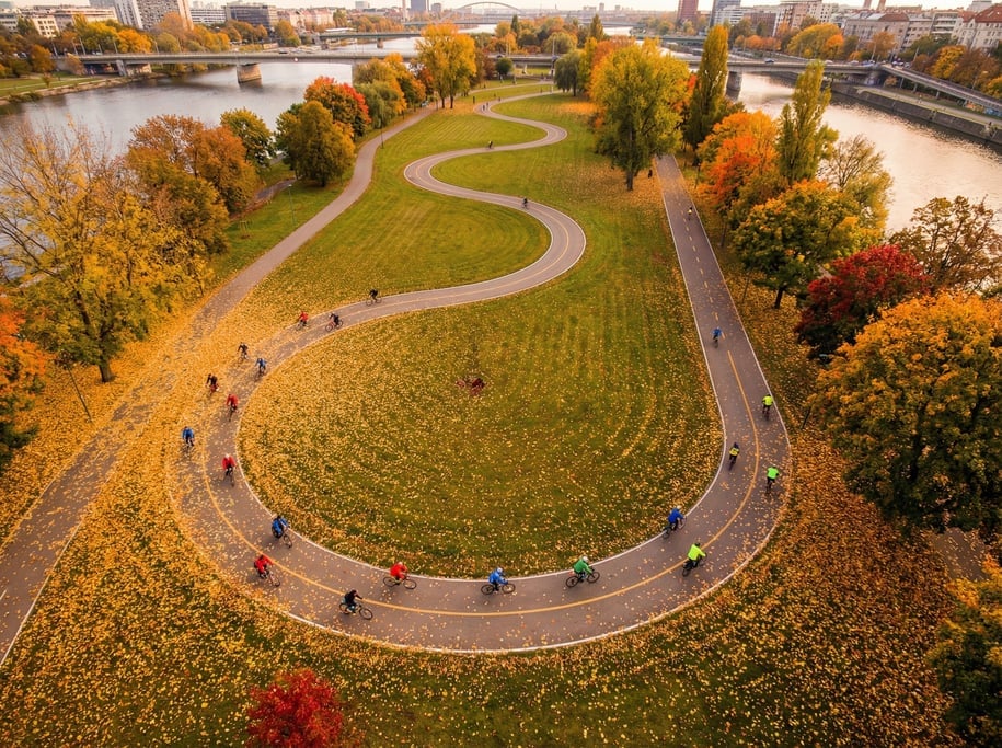 Top-down view of a bicycle path winding through a manicured urban park in early autumn