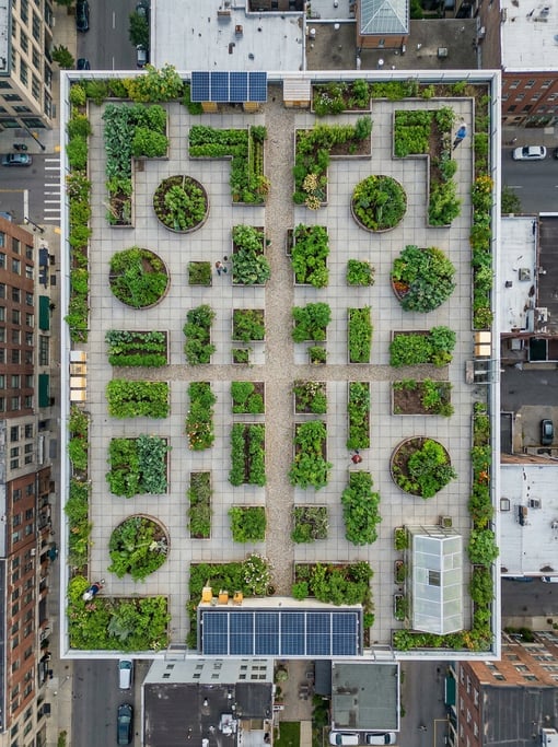 Overhead shot of a rooftop garden on a city building from above
