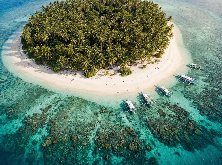 Aerial view of a small tropical island with dense palm forest, white sand beach ring