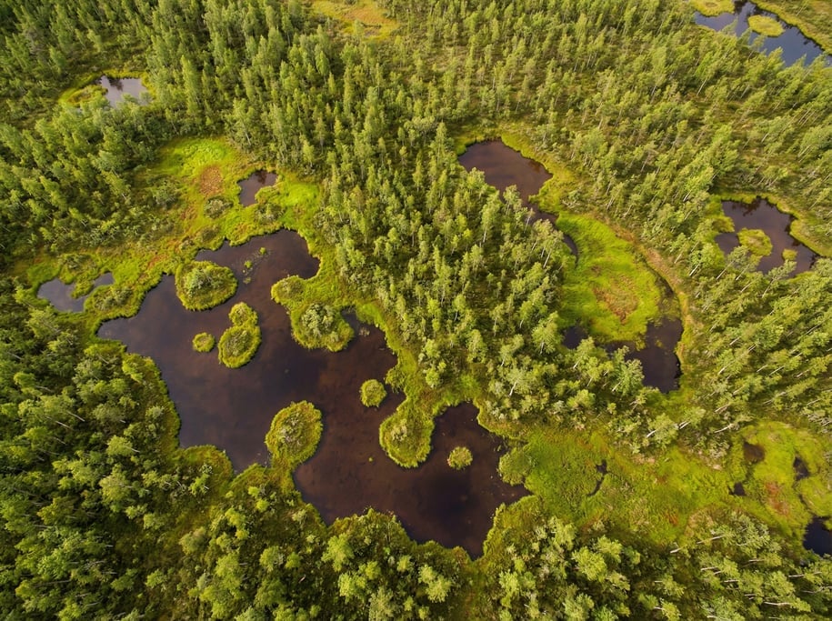 Aerial view of a peat bog landscape from above with dark brown water pools