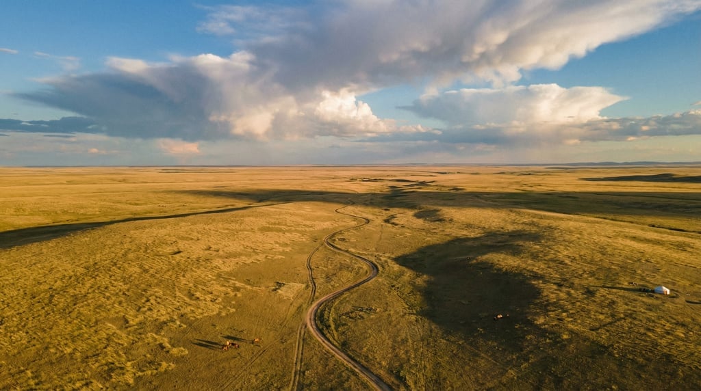 Wide aerial of a steppe landscape with vast golden grasslands stretching to the horizon