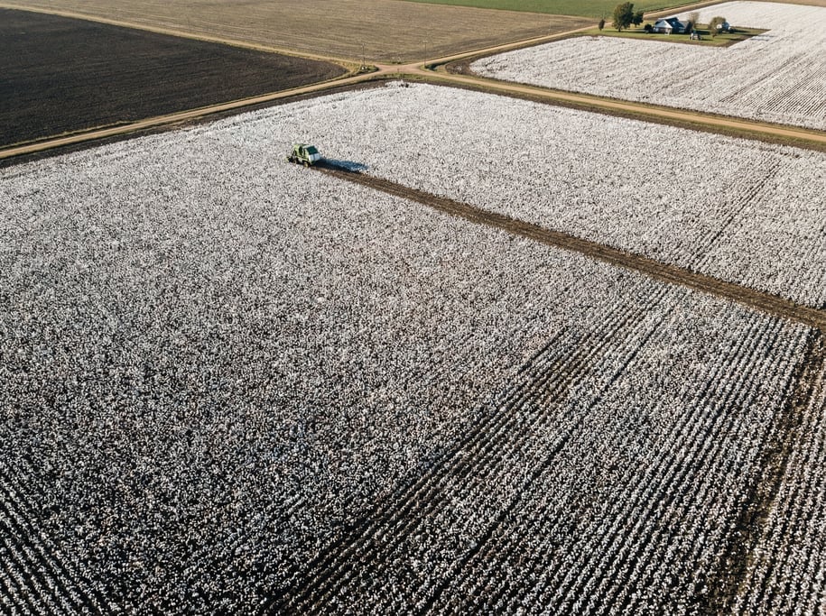 Aerial view of a cotton field ready for harvest