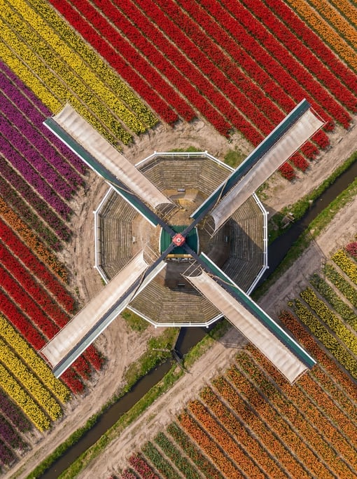 Top-down view of a traditional windmill from above, the four canvas sails creating an X pattern