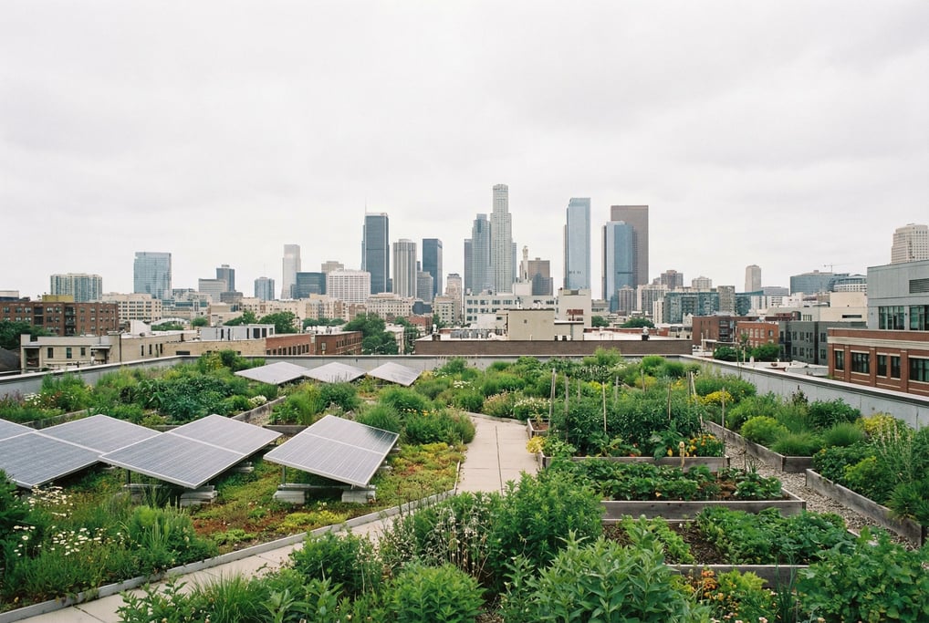 Rooftop garden overlooking downtown at overcast midday, solar panels and green roof sections