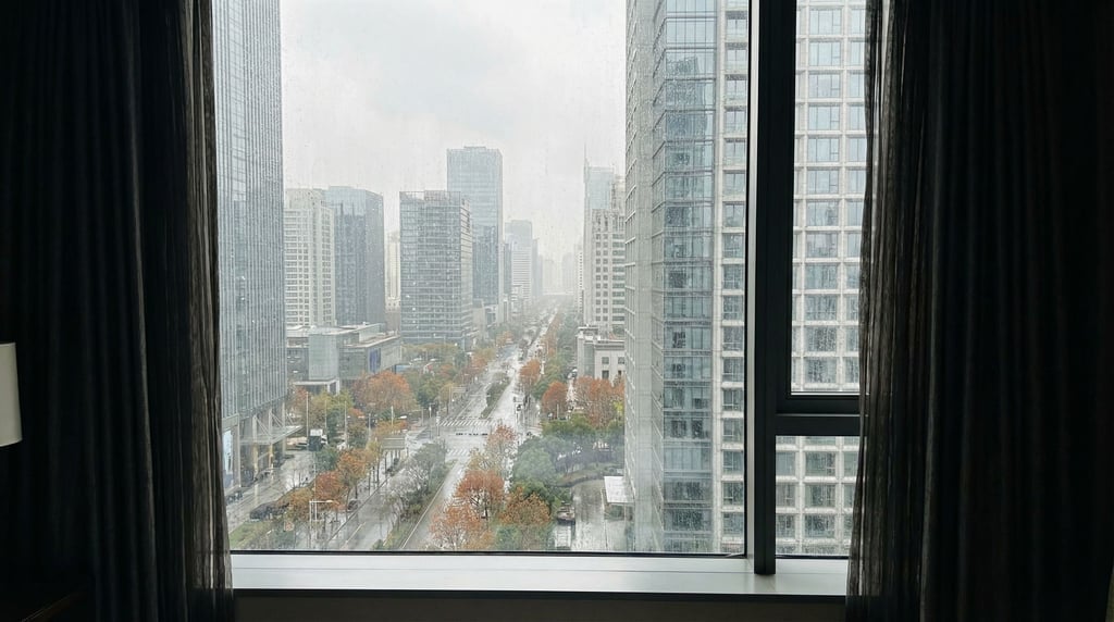 View through a hotel room window on a high floor overlooking a modern cityscape at cloudy afternoon