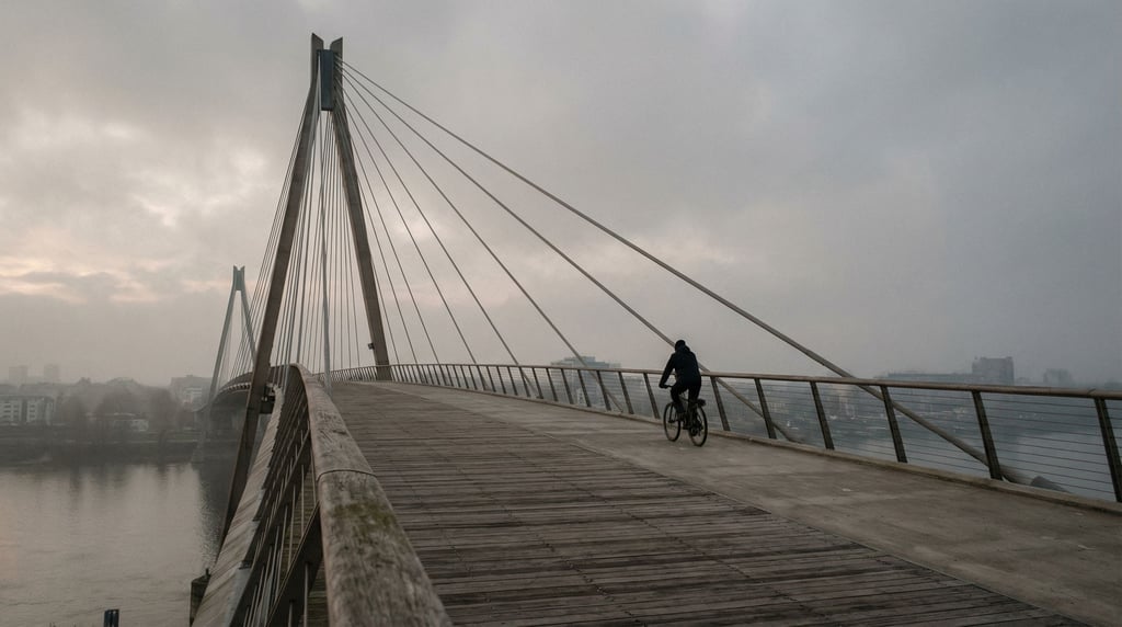Modern cable-stayed pedestrian bridge under overcast skies, soft even light and muted tones