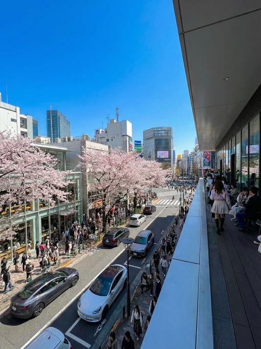 Elevated view from a rooftop terrace overlooking a Harajuku street with contemporary fashion and mod
