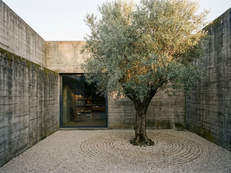 A courtyard garden enclosed by tall concrete walls, open to the sky