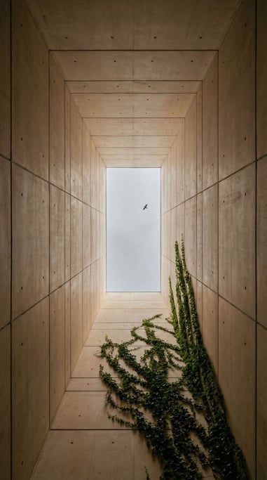 Vertical composition looking straight up through a narrow concrete shaft — a tall atrium between bui