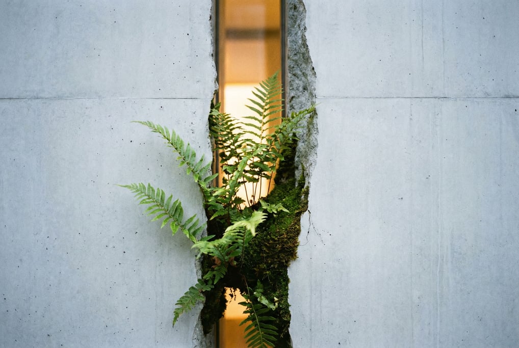 A crack in a concrete facade revealing green ferns growing in the gap