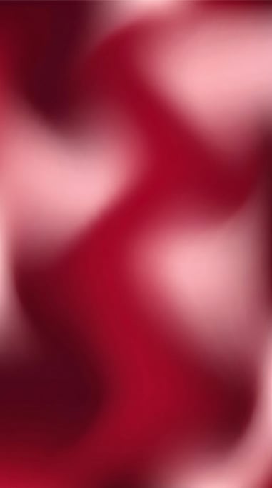 Luminous mesh gradient abstract, deep wine red flowing into bright cranberry and soft blush