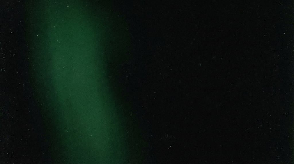 Moody film grain gradient, black background with a soft vertical glow of deep pine green along the l