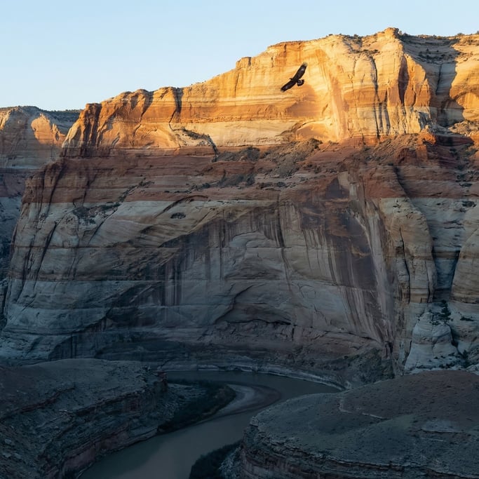First light of dawn hits only the top of a cliff face in warm gold while the base remains in cool blue shadow — a dramatic illustration of layered rock rendered in warm and cool sedimentary bands: ochre