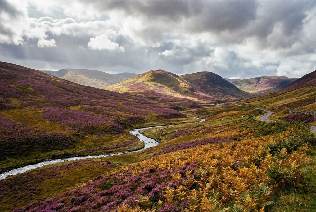 Rolling heather-covered hills in bloom stretch across a panoramic Scottish highland landscape