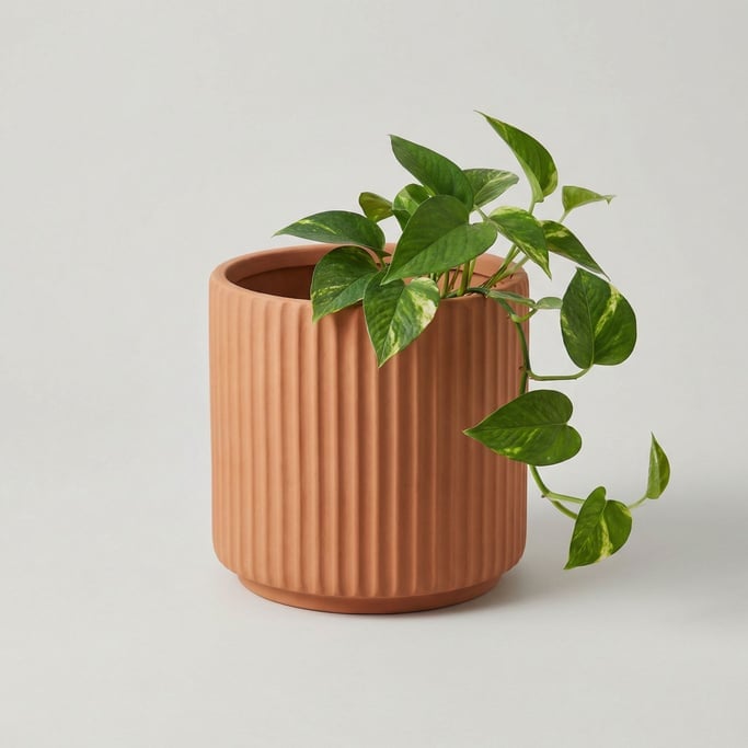 Cylindrical ribbed planter in matte terracotta clay with a small trailing pothos plant spilling over