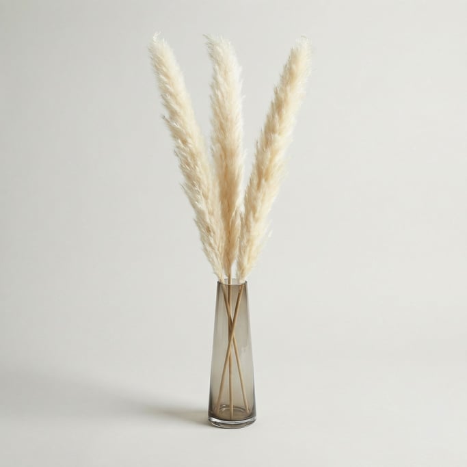 Dried pampas grass arrangement in a narrow smoked glass bud vase with three tall feathery cream plum