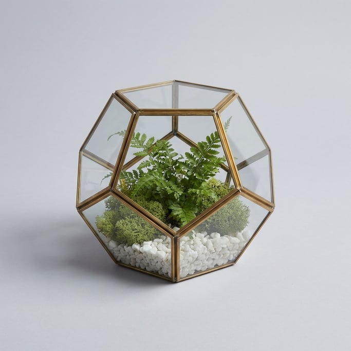 Glass geometric terrarium with brass-edged pentagonal panels containing miniature ferns