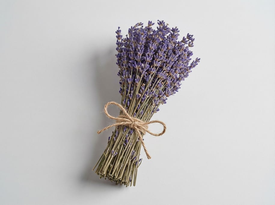 Dried lavender bundle of purple flower stems tied together with natural jute twine in a rustic bow k