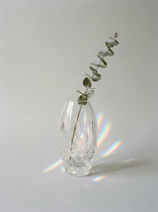 Crystal bud vase in diamond-cut lead glass with a single dried eucalyptus stem and rainbow light pri