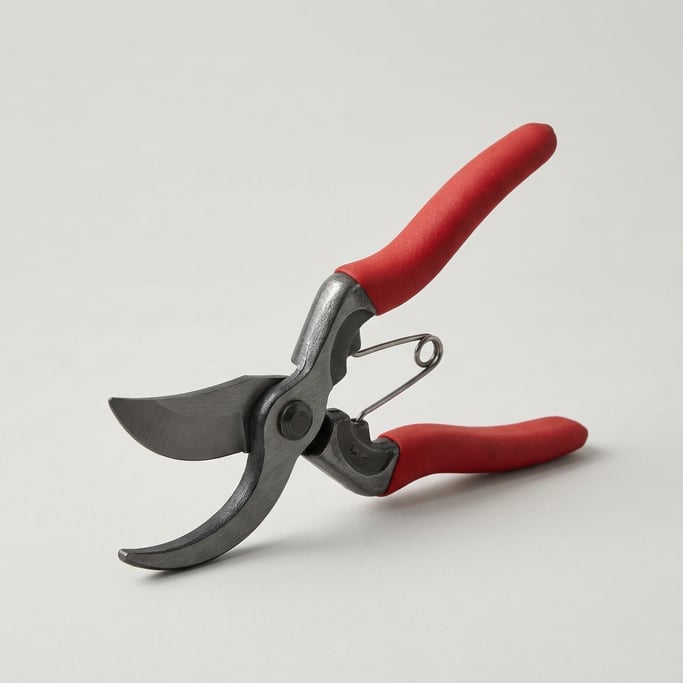Bypass pruning shears in forged carbon steel with curved blades, red rubber comfort-grip handles