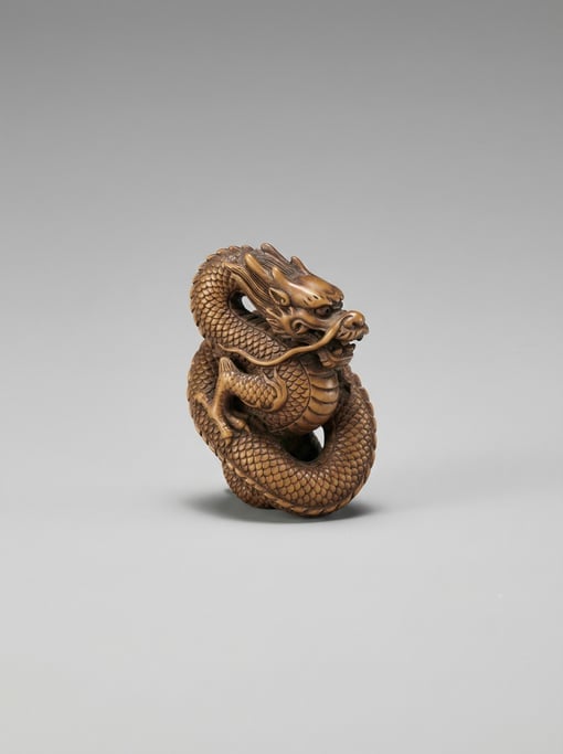 Hand-carved wooden netsuke figurine of a coiled dragon in boxwood with fine scale detail and a smoot