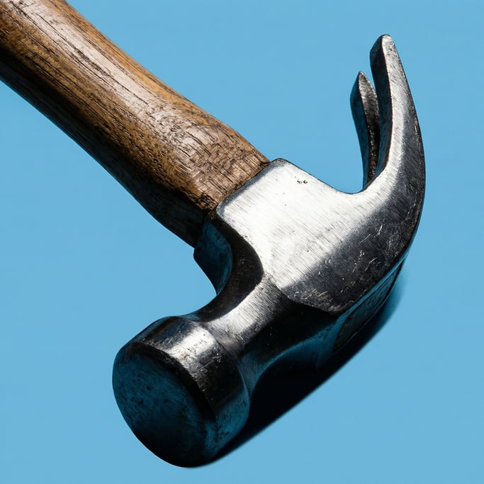 Claw hammer with a hickory wood handle and polished steel head