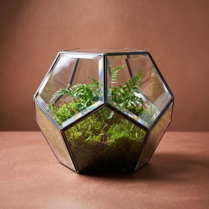 Glass geometric terrarium with small ferns and moss inside