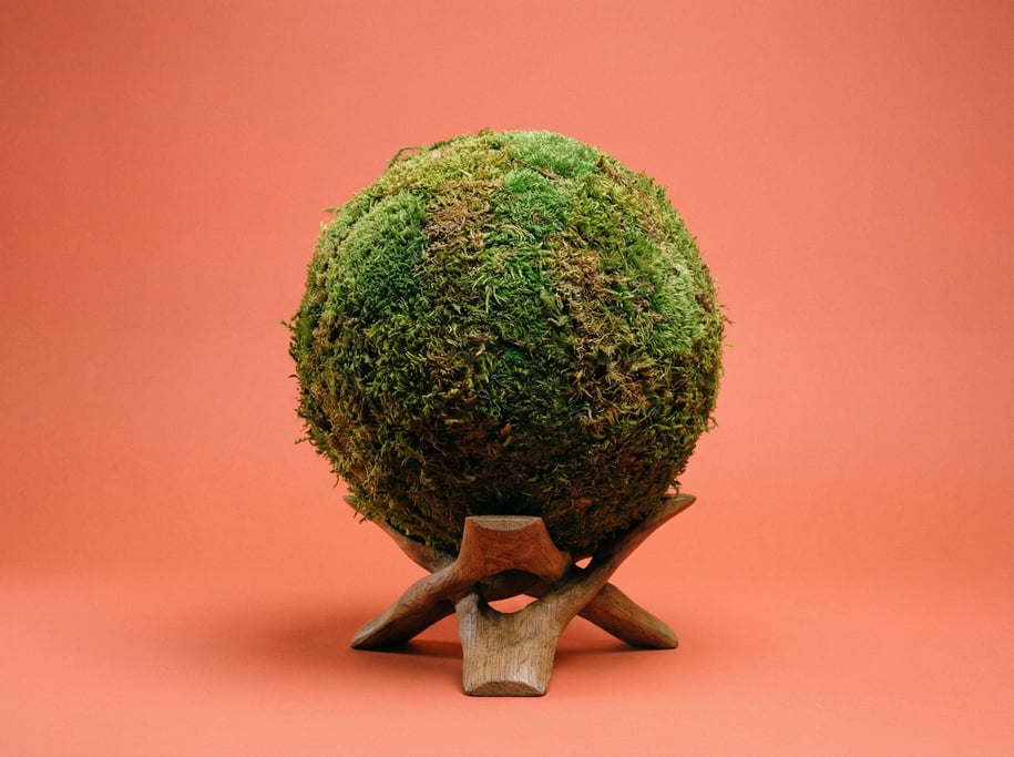 Preserved moss sphere on a wooden display stand